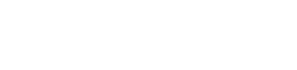 Partner logo 6